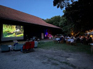 OPEN AIR KINO