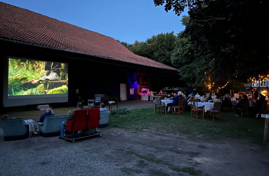 OPEN AIR KINO